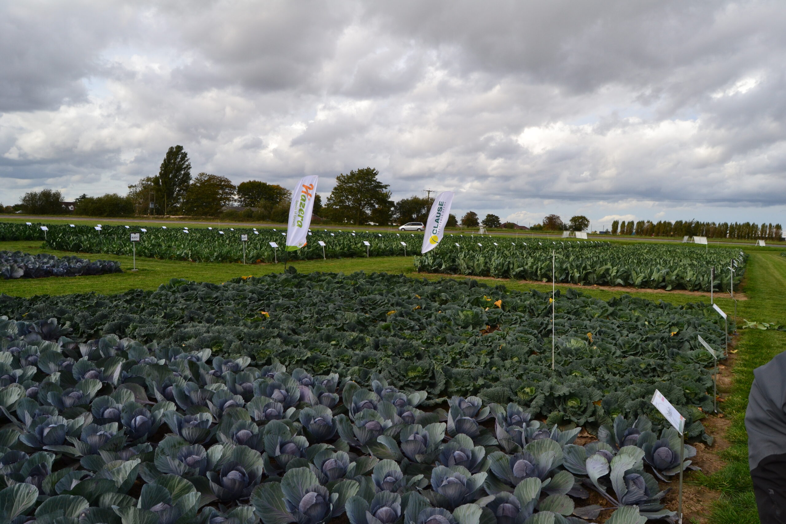 UK Brassica Open Days