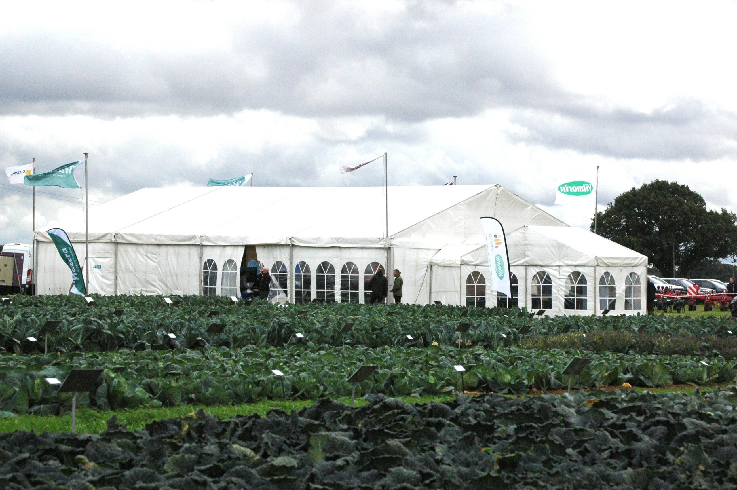 UK Variety Open Days