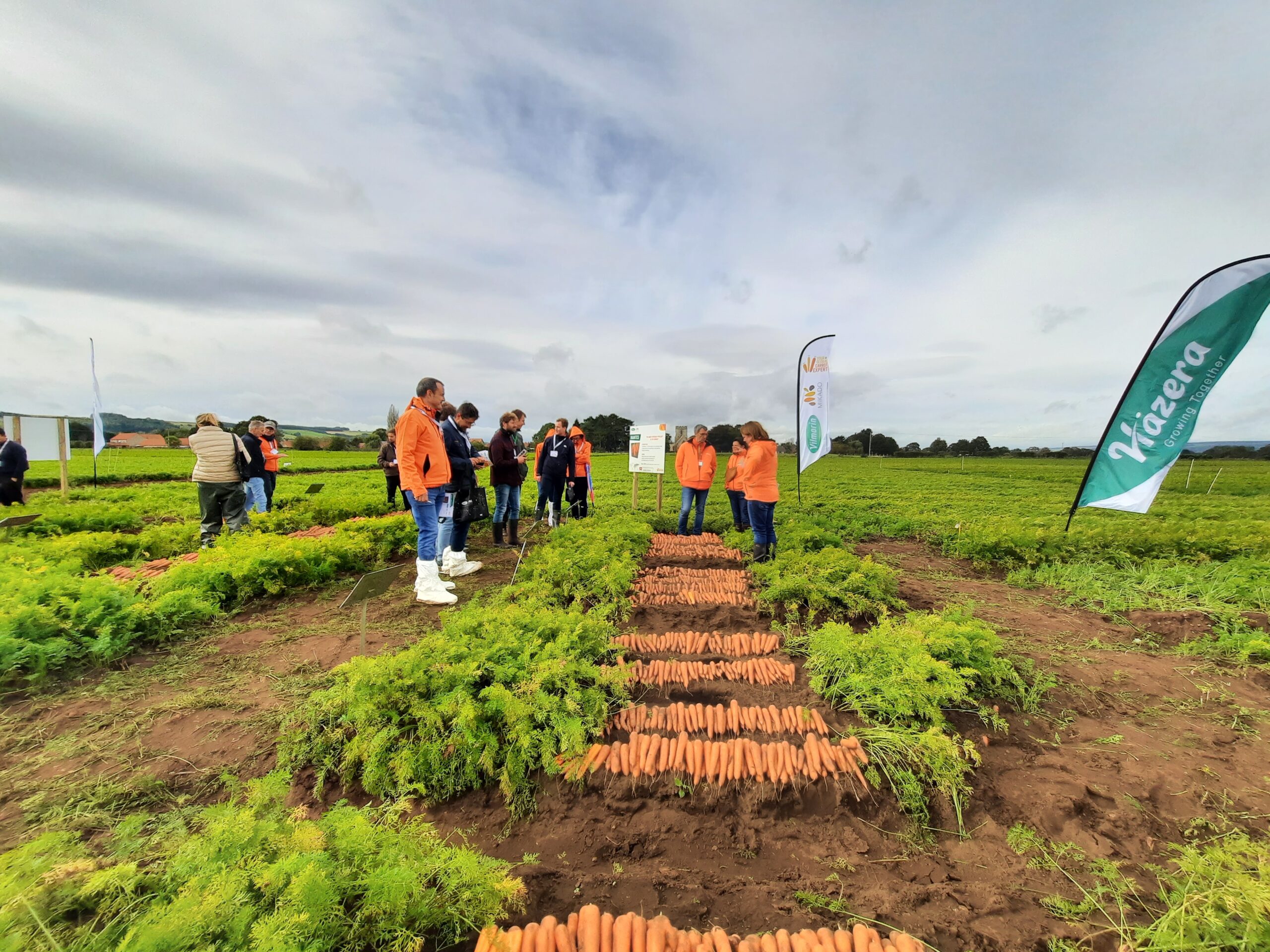 British Carrot Growers Association Open Day