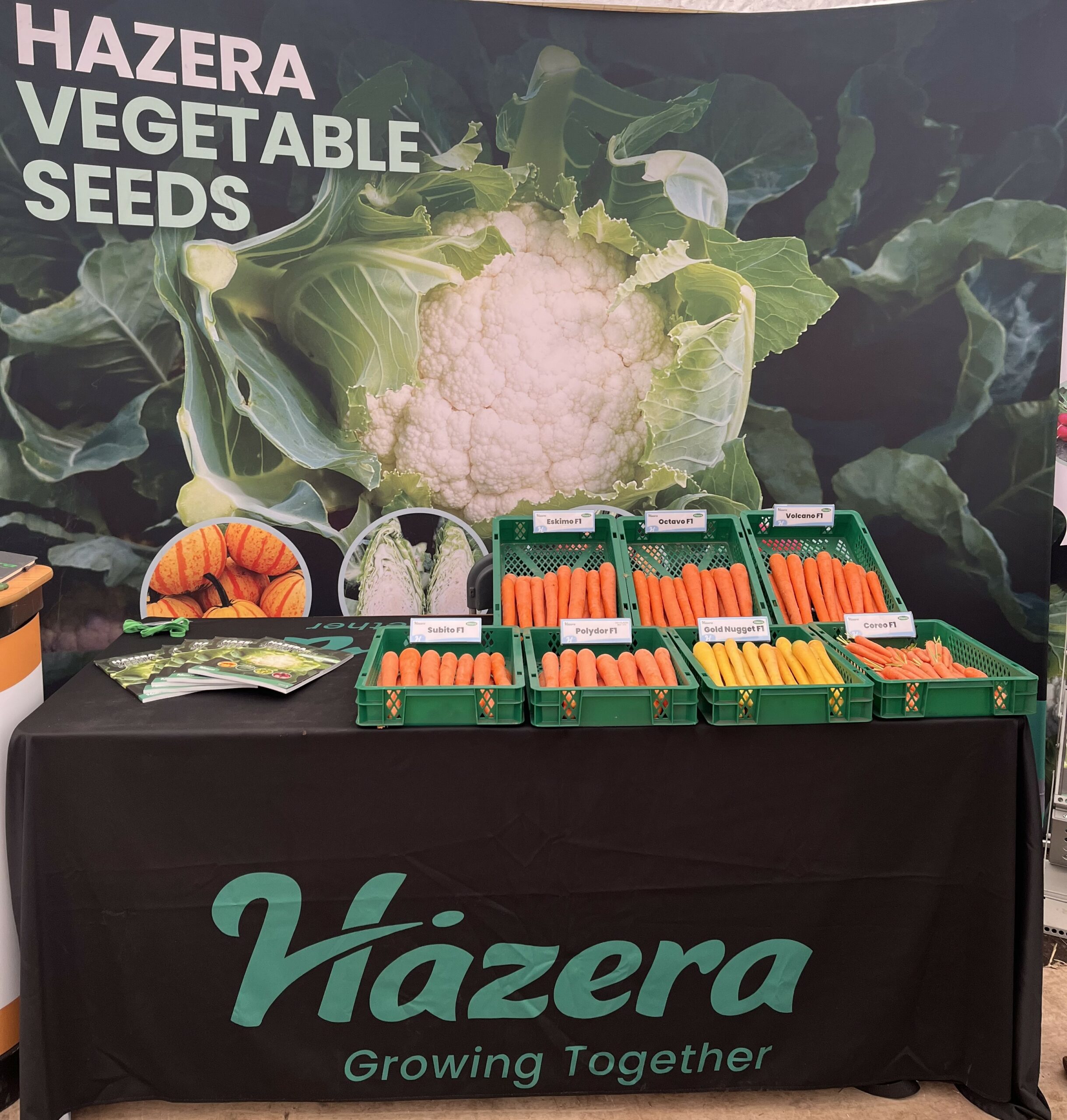 British Carrot Growers Association Open Day 2025